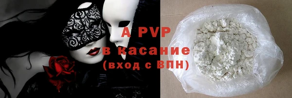 ГАЛЛЮЦИНОГЕННЫЕ ГРИБЫ Гусев