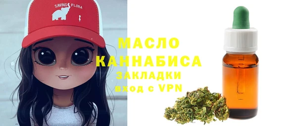 ГАЛЛЮЦИНОГЕННЫЕ ГРИБЫ Гусев