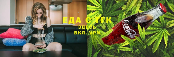 ГАЛЛЮЦИНОГЕННЫЕ ГРИБЫ Гусев