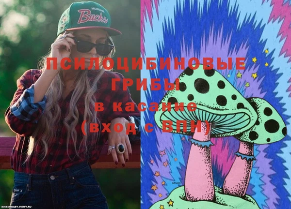 гашик Гусиноозёрск