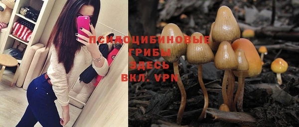 гашик Гусиноозёрск