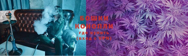 ГАЛЛЮЦИНОГЕННЫЕ ГРИБЫ Гусев