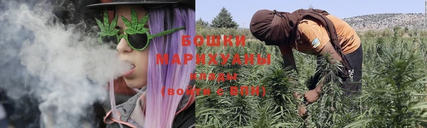 ГАЛЛЮЦИНОГЕННЫЕ ГРИБЫ Гусев