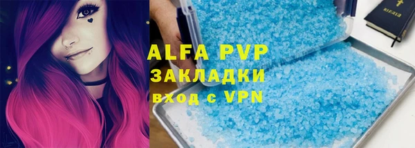ГАЛЛЮЦИНОГЕННЫЕ ГРИБЫ Гусев